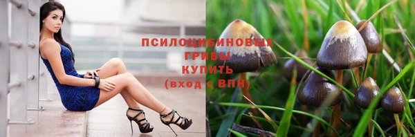 альфа пвп Карпинск