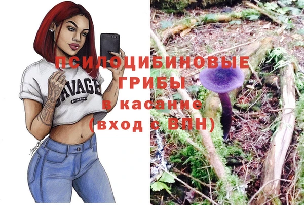 бутират Касимов