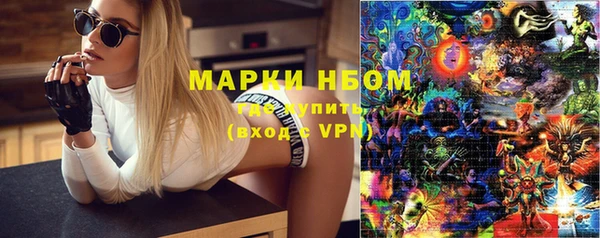 ПСИЛОЦИБИНОВЫЕ ГРИБЫ Санкт-Петербург