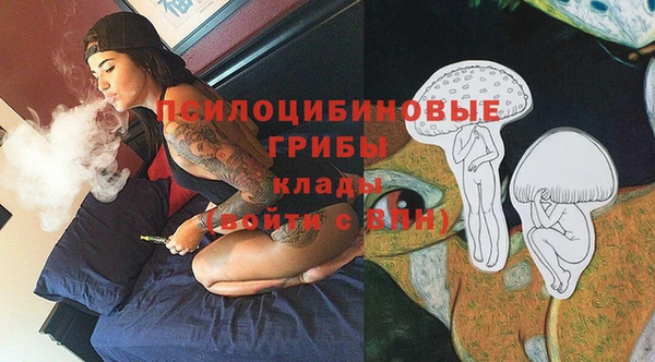 дмт Карталы