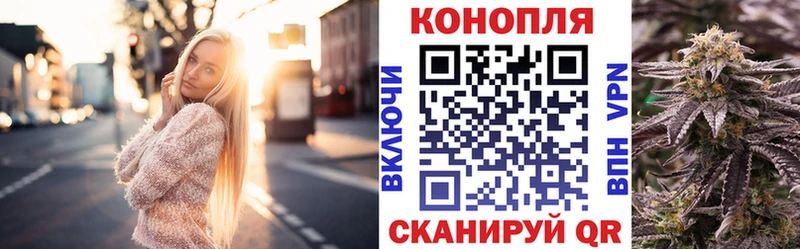 Купить где  Новоуральск  Бошки Шишки семена 
